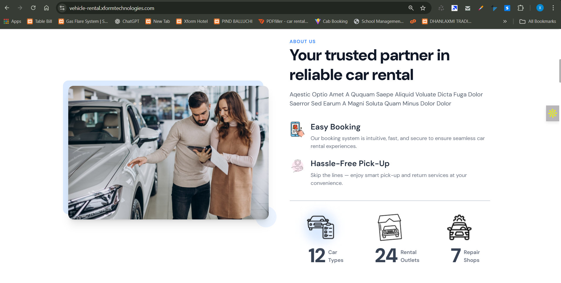 Chauffeur Software Analytics and Integrations Rome Italy